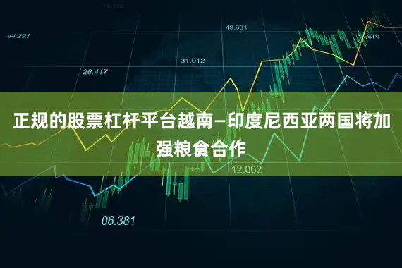 正规的股票杠杆平台越南—印度尼西亚两国将加强粮食合作