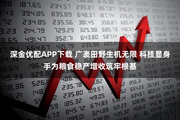 深金优配APP下载 广袤田野生机无限 科技显身手为粮食稳产增收筑牢根基